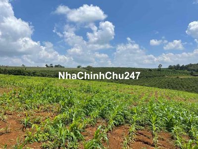 Chính Chủ Cần Bán Đất Giá rẻ