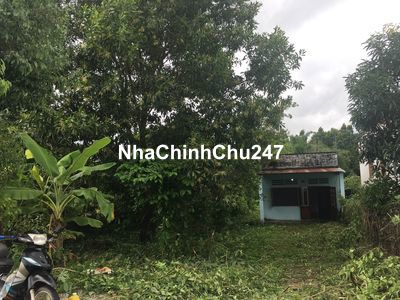 Chính chủ bán gấp nhà vườn