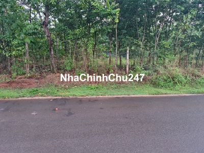 Bán đất chính chủ, phường tan xuân,TP đồng xoài, tỉnh bình phước