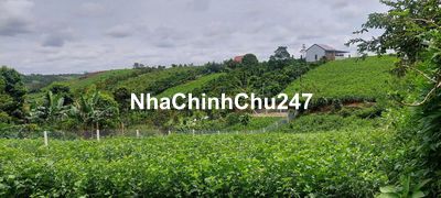 Gần 500m2 đất thổ cư mặt tiền Phùng Hưng_ Lộc Tân