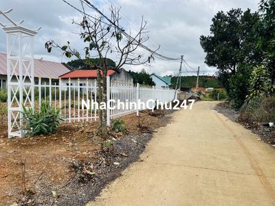 Đất làm homestay cách Đà Lạt 20km