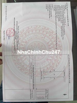 Nhà cấp 4, có lầu, sổ riêng thổ cư 100% P.Tân Phong, BH