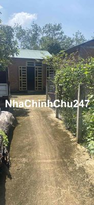 rất thích hợp xây nhà Yến. chăn nuôi