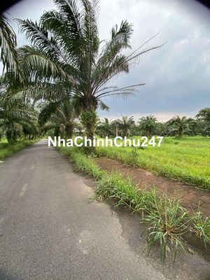 Sang nhanh lô đất đẹp ngay MT An Viễn, Giá 720tr, Sổ hồng riêng