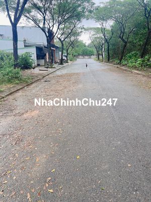 đất tdc hòa ninh 2