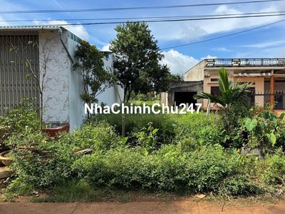 Chính chủ cần bán Nguyễn Thị Thao 125m2 gần trường THCS thị trấn 2