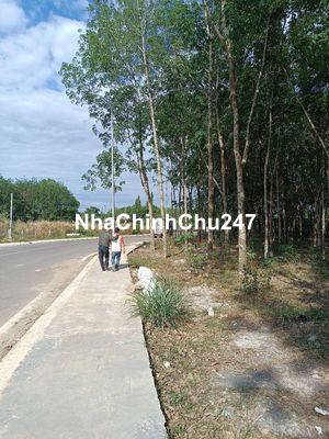 500m2 Mặt Tiền Huỳnh Văn Bánh, QL13, Bình Phước