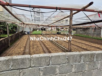 Chính chủ bán 76m2 đất Vĩnh Lộc, Thư Phú, Thường Tín,  Hà Nội