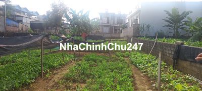 Chính chủ bán 150m2 đất ở Kim Quan Thạch Thất Hà Nội.