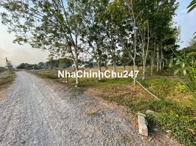 Đất thồ cư giá 1,2 tỷ, SHR ngay chủ, KT:10x50m (492m2)