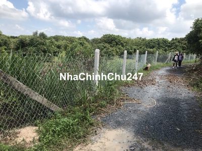 Đất Hiệp Thạnh, Gò Dầu, 38x50m, giá 1,3 triệu/m2, SHR chính chủ