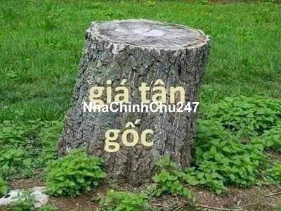 Chính chủ cần tiền bán gấp