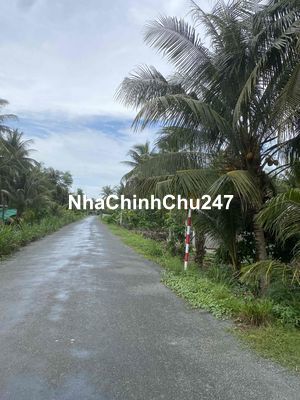 đất nông nghiệp ,bình đại ,bến tre ngay chủ