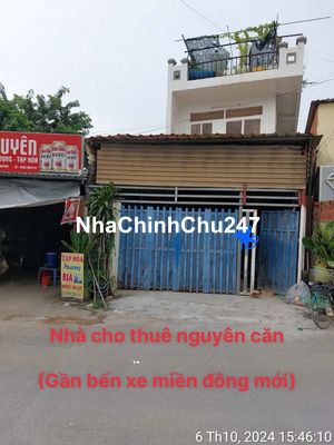 Cho nhà nguyên căn