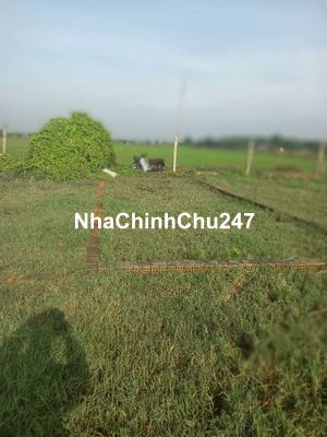 Tôi cần bán gấp đất chính chủ