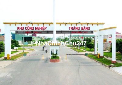 CHỦ CẮT LỖ SÂU ĐẤT AN TỊNH TRẢNG BÀNG MẶT TIỀN KINH DOANH BUÔN BÁN