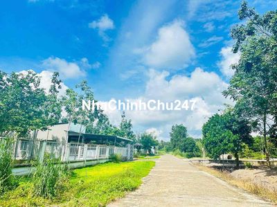 Chính chủ bán vườn mít 1000m2 ban 279tr ngay KCn