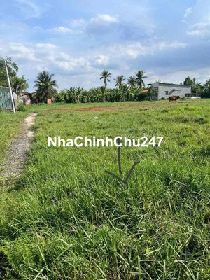 Chính chủ cần bán đất Long An