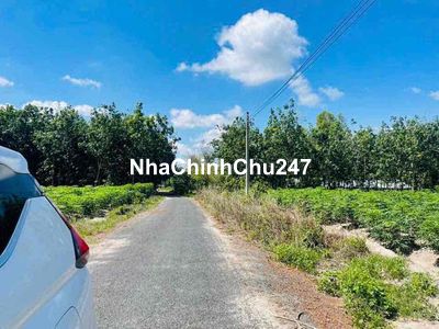 Chính chủ đang cần bán 1000m2 có thổ cư, thích hợp đầu tư xây nhà vườn