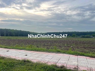 CHÍNH CHỦ CẦN SANG LẠI 73 LÔ ĐẤT ĐÃ CÓ SỔ