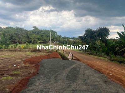 Chính chủ bán gấp lô đất 5300m2, 200m2 thổ cư đường nhựa