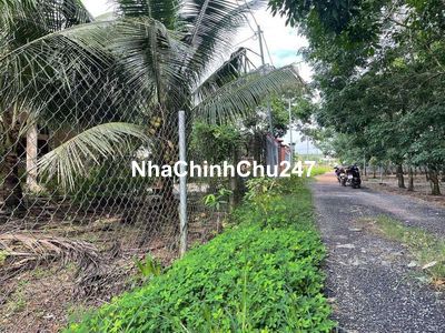 Em chính chủ cần bán căn nhà sổ riêng có 250m2 thổ cư tại Tt Vĩnh An