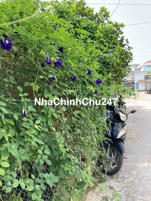 NHÀ CHÍNH CHỦ -HẺM XE HƠI - 65M2 - NGAY LOTTE NHỈNh 5 TỶ