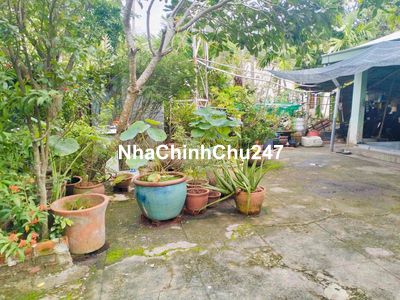 Đất An Thạnh chủ cần bán gấp