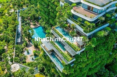 Chính chủ cần chuyển nhượng lại căn hộ