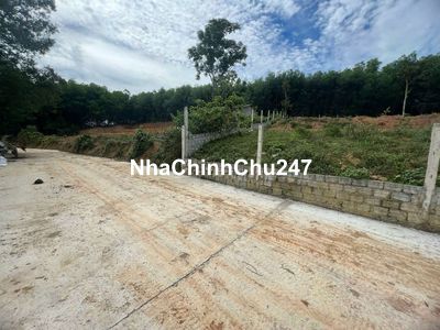 Chính chủ gửi bán lô đất trồng cây tại Xã Hòa Ninh-Hòa Vang