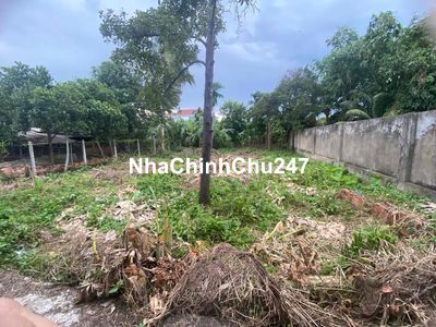 300m đất Hưng Định sát chợ Búng