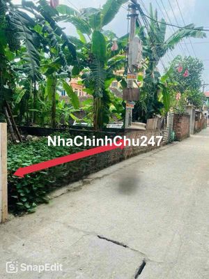 Đất Bắc hồng Đông Anh ngõ thông oto chạy vèo vèo