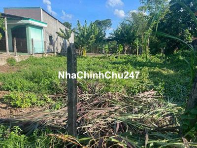 Đất Ngang 5 Dài 42 Thổ Cư Shr 580tr Chợ Lộc Hưng Trảng Bàng