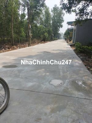 Chính Chủ cần bán đất được cấp cho cán bộ Trường Sĩ Quan Lục Quân 1