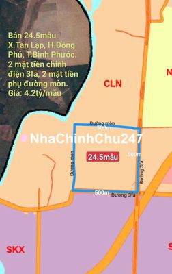 Chủ bán 24.5mẫu đất (4mặt tiền) Tân Lập, Đồng Phú