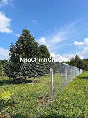 CHÍNH CHỦ CẦN BÁN MẢNH VƯỜN SẦU RIÊNG 1HEC3 GIÁ 750TR BAO SỔ