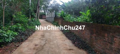 CHÍNH CHỦ BÁN  LÔ ĐẤT THÔN  ĐỒI VUA  GIÁP CỤM CÔNG NGHIỆP SƠN ĐÔNG