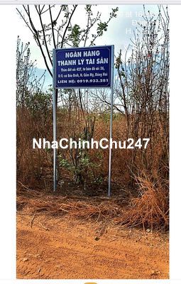 (Ngân hàng thanh lý TS) Đất Trống tại xã Bảo Bình, Cẩm Mỹ, Đồng Nai