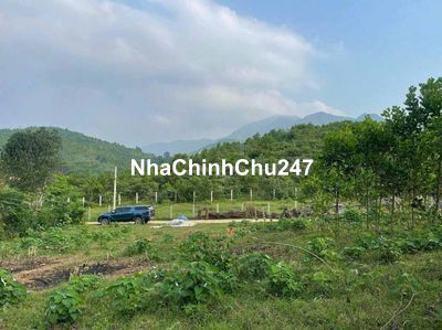 Chính Chủ Bán Gấp Lô Đất Nghỉ Dưỡng 700m² Thôn Yên Trung, Thạch Thất