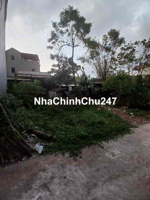 50m2 Đất đầu tư Đồng Mai, Hà Đông chỉ hơn 2 tỷ