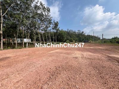 cc cần bán lô mặt tiền Dh519 phước sang phú giáo