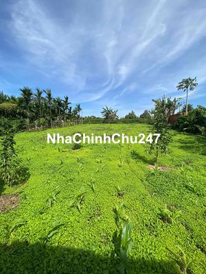 Chính chủ cần bán lô đất ở km37 , cách quốc lộ 26 chỉ 100m - Đất đẹp t