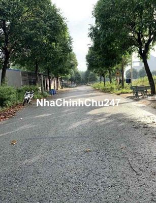 Chính Chủ cần bán đất đường N25, Hoà Phú, Thủ Dầu Một, Bình Dương