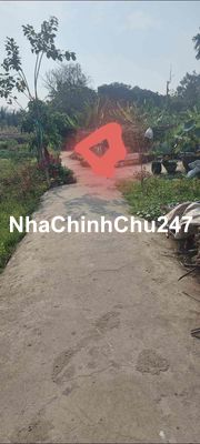 đất chính chủ can bán gấp