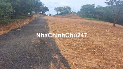 ĐẤT TO TIỀN MUA BÉ XÍU_CHỈ HƠN 100TRIỆU CÓ NGAY 1000M2 BÌNH PHƯỚC