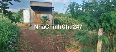 Chính chủ bán 3200m2 đất có 50m2 thổ mặt tiền nhựa thông xã Sơn Bình