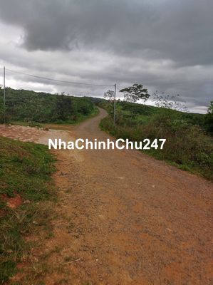 BÁN ĐẤT THỔ CƯ VIEW NGHĨ DƯỠNG TẠI DI LINH