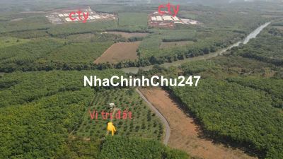 E cần Bán mảnh đất Tân Hưng Hớn Quản 158tr