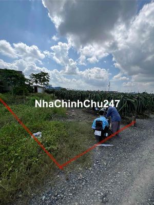 Đất thổ cư chính chủ giá rẻ