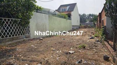 Chủ kẹt bán gấp 185d sang sổ 300m2 tc